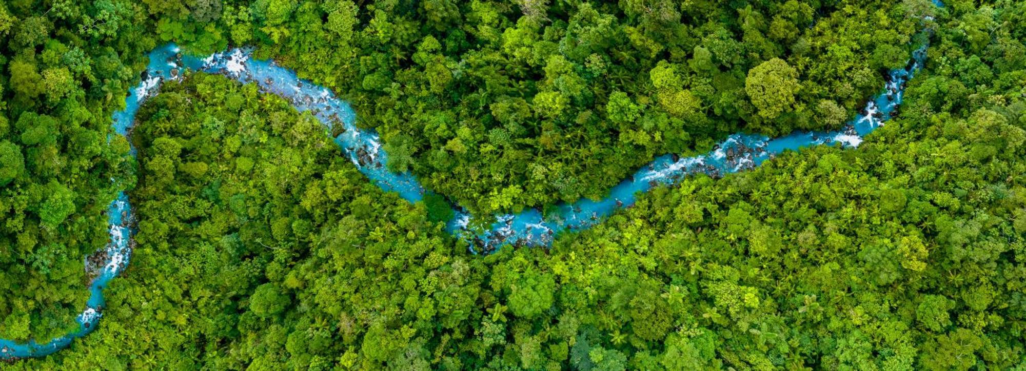Hideaway Rio Celeste Hotel بيجاغوا المظهر الخارجي الصورة