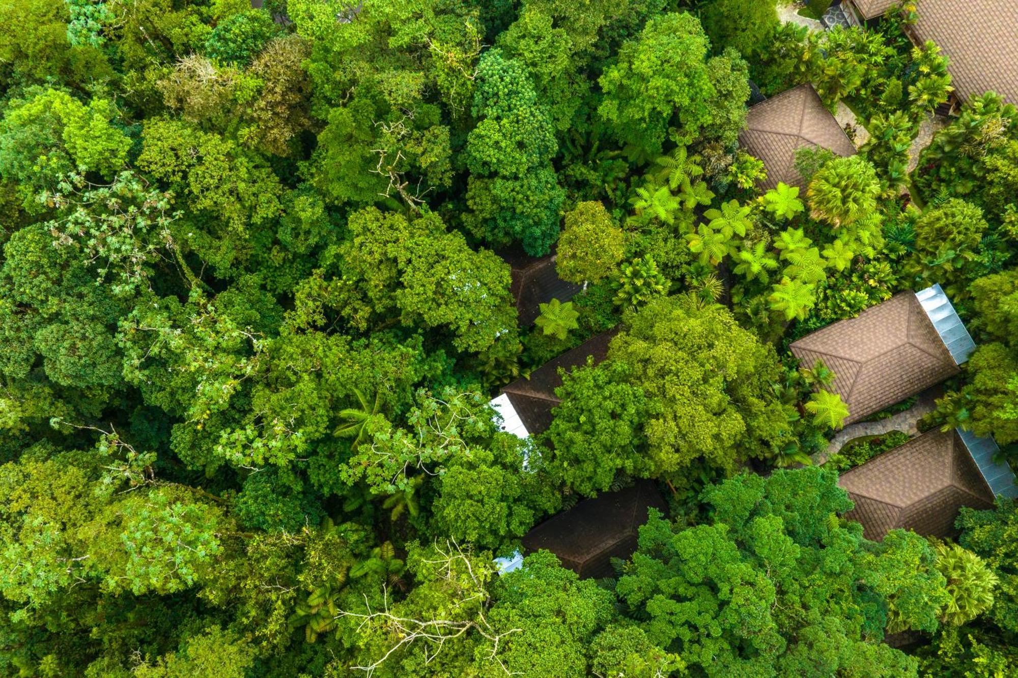 Hideaway Rio Celeste Hotel بيجاغوا المظهر الخارجي الصورة